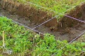 Фундамент под баню Фундамент под баню