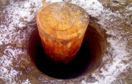 Сваи из дерева